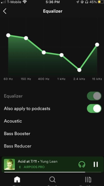 spotify premium equalizer