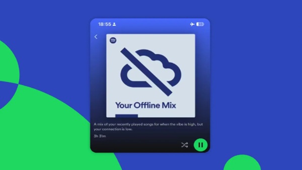 listas offline spotify gestion 1
