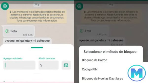 whatsapp plus v17.55 apk android