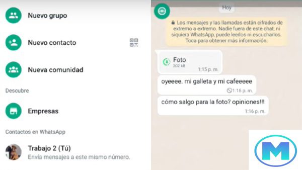 whatsapp plus v17.55 descargar