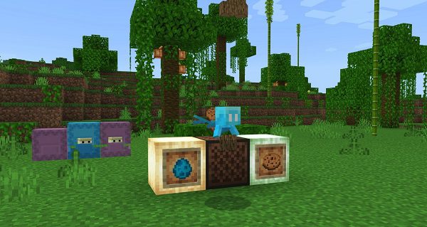 minecraft 1.20.1 Pro