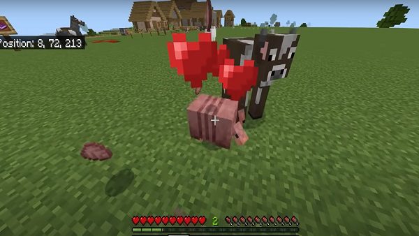 minecraft 1.20.80 apk