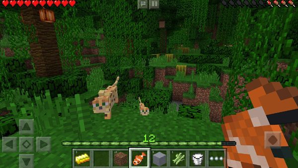 minecraft 1 21 50 20 apk mod