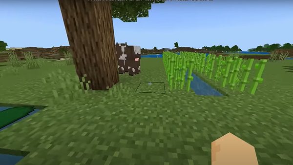 minecraft 1.21.60.21 apk descargar