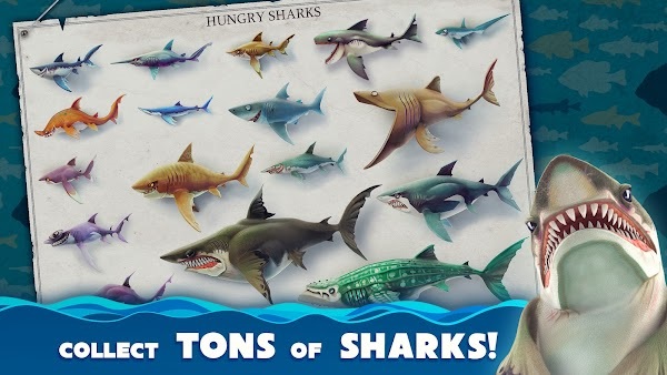 Hungry Shark World APK gratis