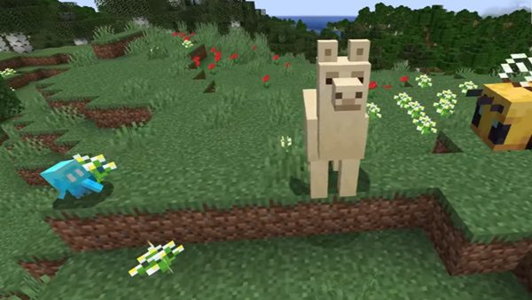 minecraft 1 21 4 apk gratis