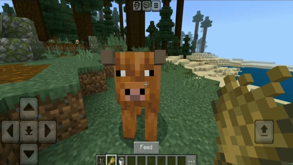 minecraft 1 21 70 20 apk mediafire