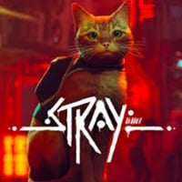 Stray